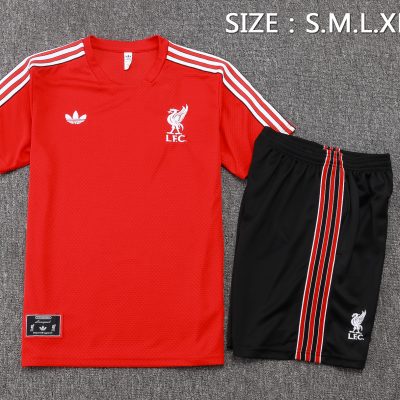 Alternative view of Liverpool Training Jersey Kit Red 2025/26