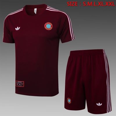 Bayern Munich Training Jersey Kit Red 2025/26