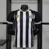 Santos FC Soccer Jersey Away Shirt 2025