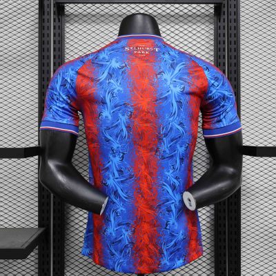 Alternative view of Crystal Palace Football Jersey Home Shirt 2024/25