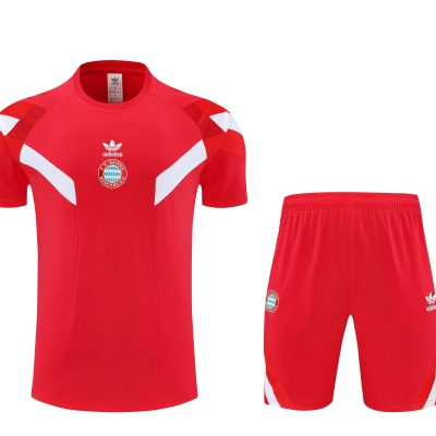 Bayern Munich Training Jersey Kit Red 2025/26
