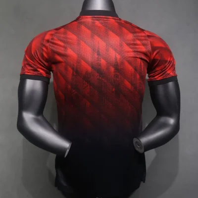 Alternative view of AC Milan Soccer Jersey Special Edition Shirt 2024/25