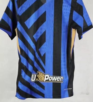 Alternative view of Soccer Jersey Inter Milan Home Shirt 2024/25