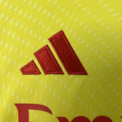 Alternative view of Benfica Soccer Jersey Goalkeeper Kids Kit Jersey+Shorts 2025/26