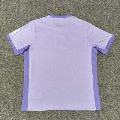 Alternative view of Brighton & Hove Albion Football Jersey Away Custom Shirt 2025/26