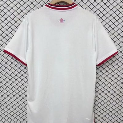 Alternative view of Lille OSC Soccer Jersey 80th Anniversary Custom Shirt 2024/25