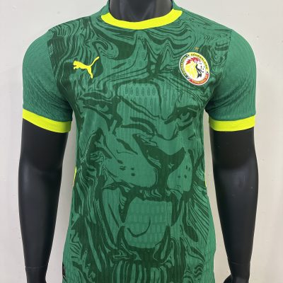 Senegal Soccer Jersey Away Shirt 2025