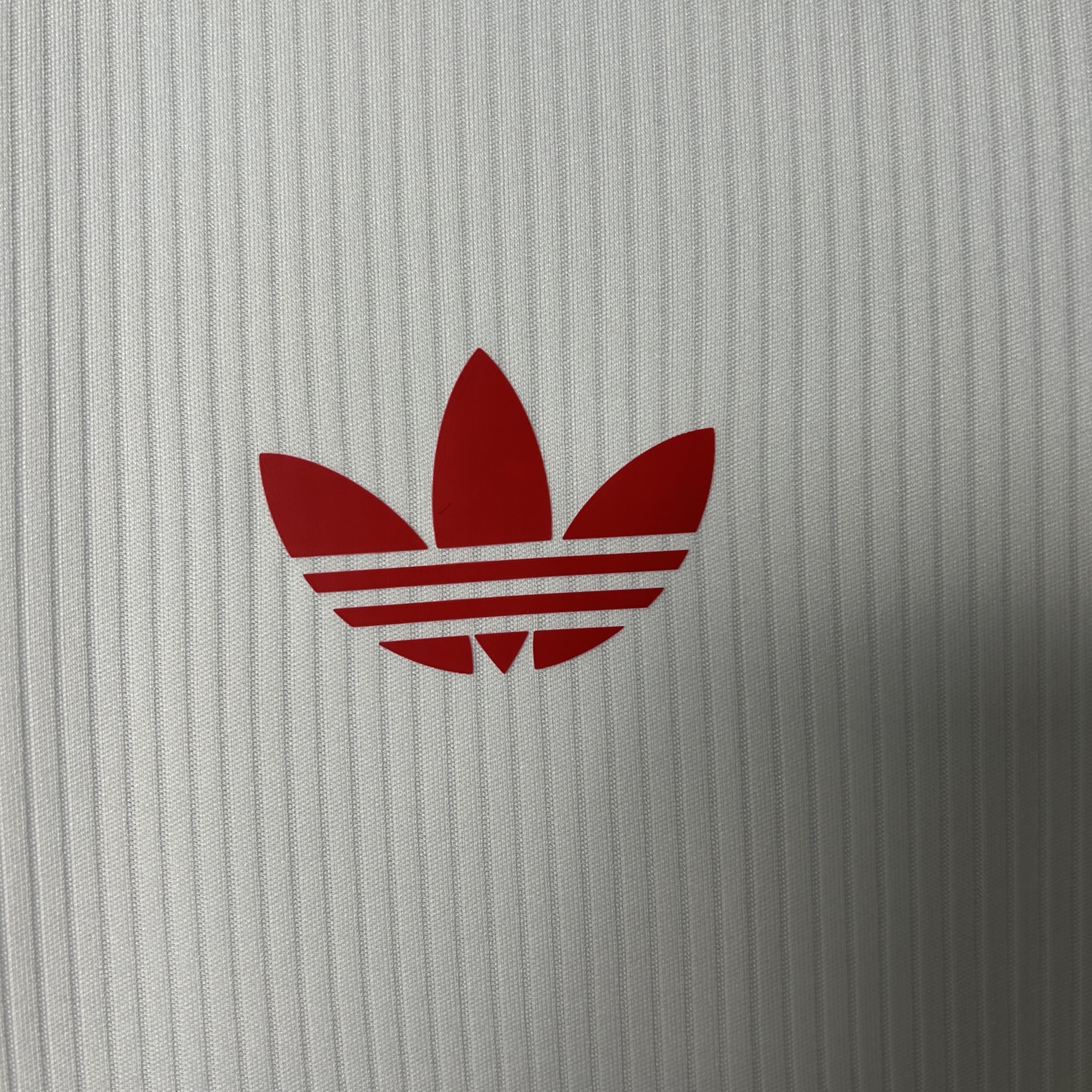 Benfica Soccer Jersey Special Edition Custom Shirt 2025/26 - Image 3