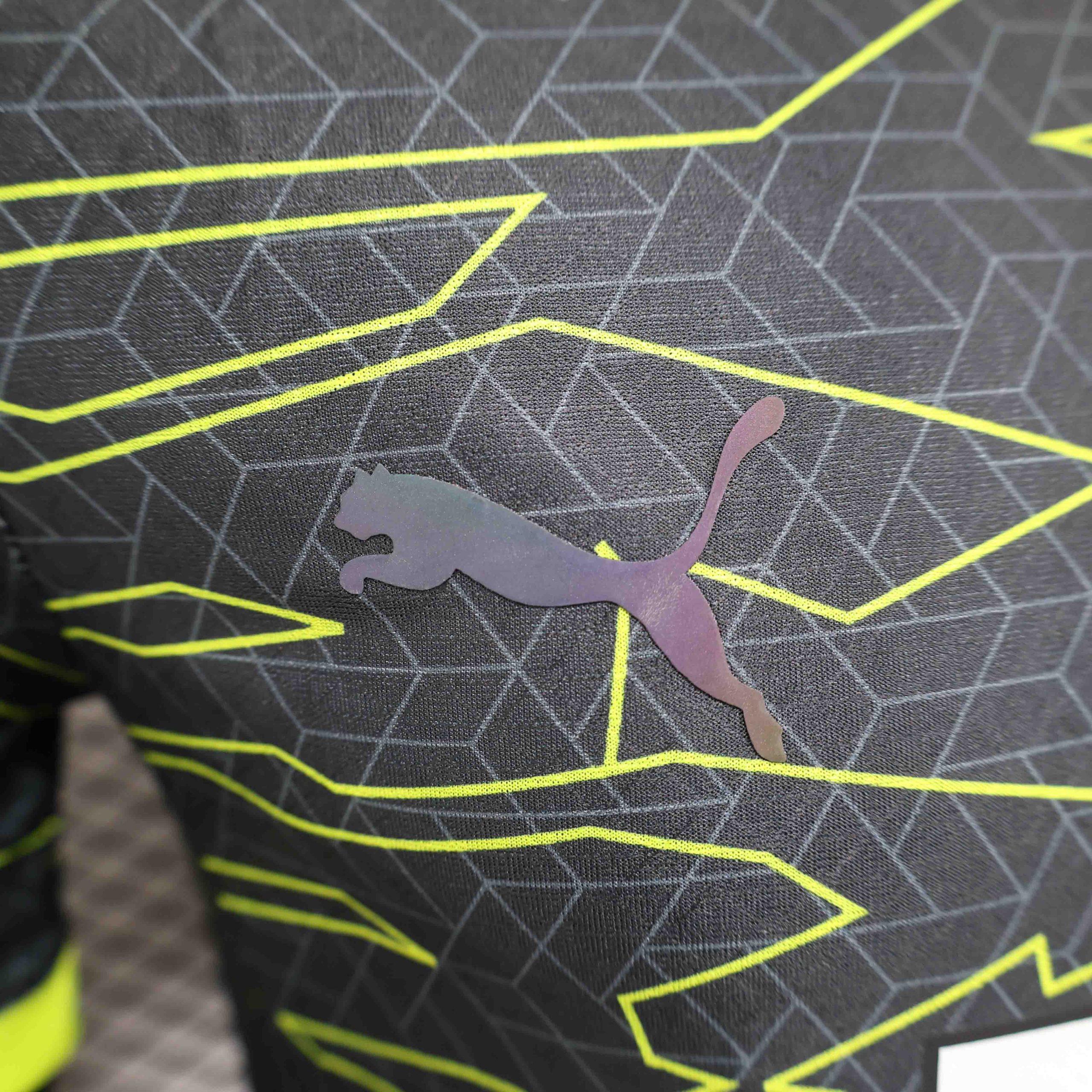 Borussia Dortmund Special Jersey Player Version 2024/25 - Image 5