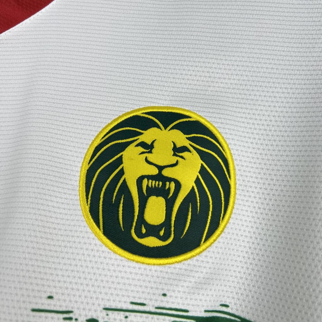 Cameroon Soccer Jersey Third Away Custom Shirt 2025 - Image 3