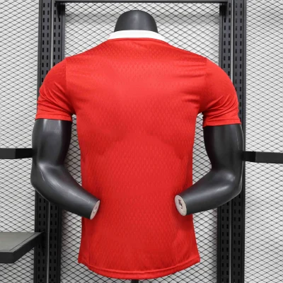 Alternative view of Arsenal Soccer Jersey Special Edition Shirt 2024/25