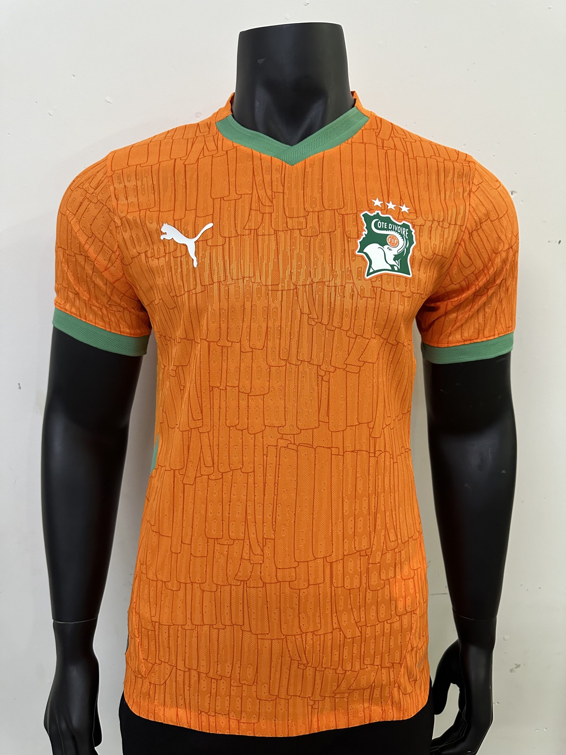 Côte d'Ivoire Soccer Jersey Home Shirt 2025
