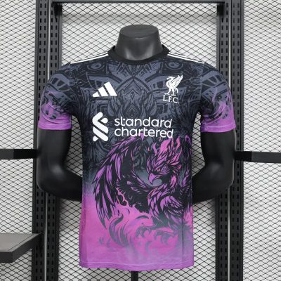 Liverpool Football Jersey Special Edition Shirt 2024/25