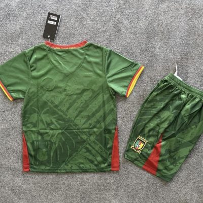 Alternative view of Cameroon Soccer Jersey Home Kids Kit Jersey+Shorts 2025