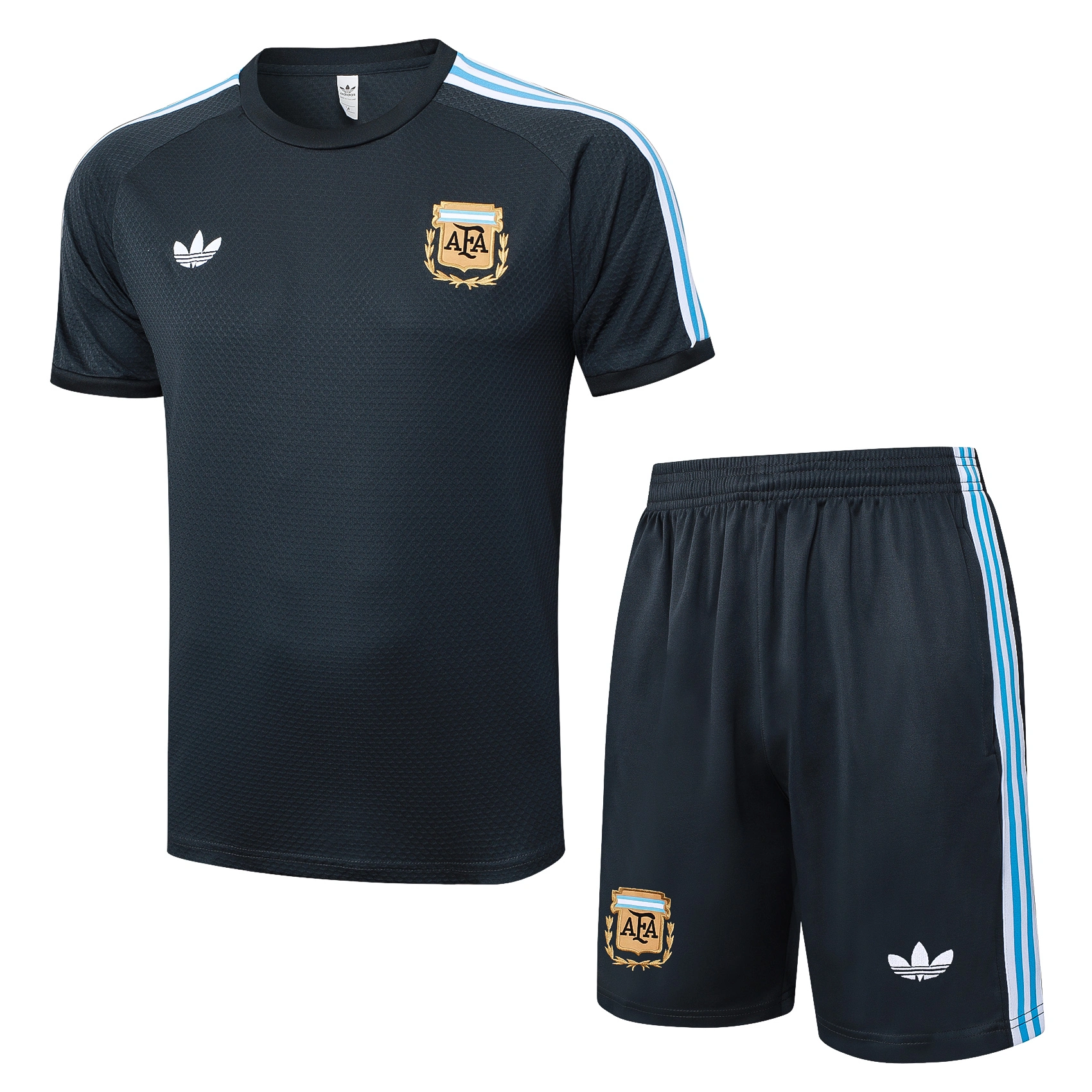 Argentina Training Jersey Kit Gray 2025