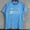 Nottingham Forest Football Jersey Third Away Custom Shirt 2024/25