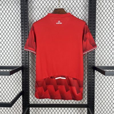 Alternative view of Lille OSC Soccer Jersey Home Custom Shirt 2025-26