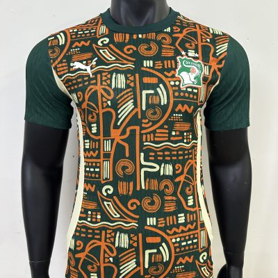 Côte d'Ivoire Soccer Jersey Training Shirt 2025