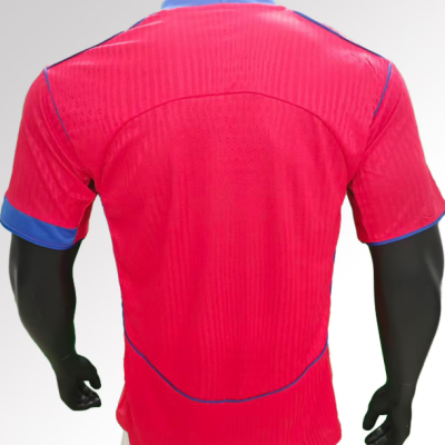 Alternative view of 2025-26 New Paris Saint-Germain 2nd Away Football Jersey