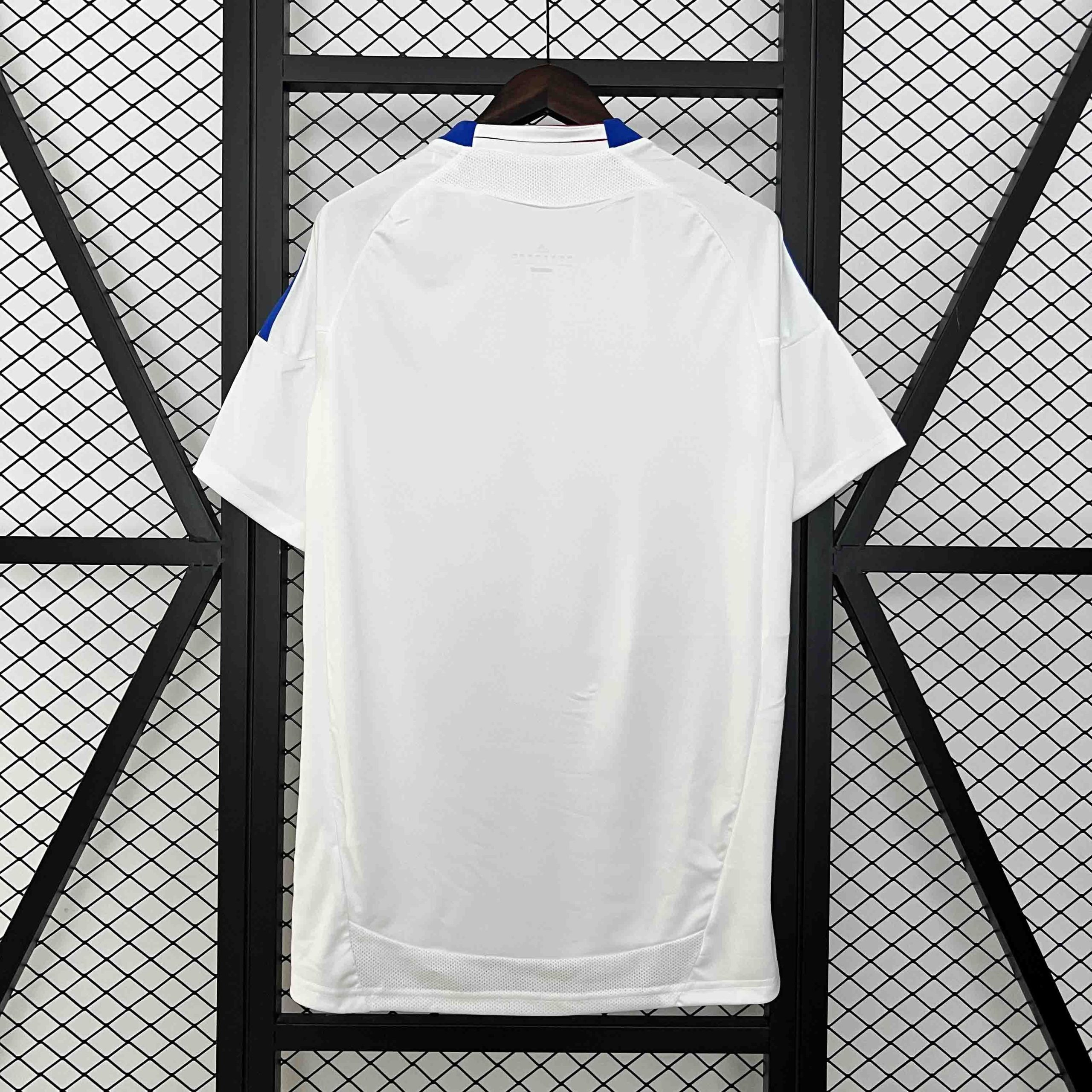 Olympique Lyonnais Retro Football Jersey Home Custom Shirt 2010-11 - Image 2