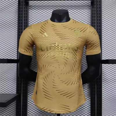 Real Madrid Soccer Jersey Golden Special Edition Shirt 2023/24