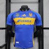 Tigres UANL Soccer Jersey Away Shirt 2024/25