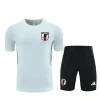 Japan Training Jersey Kit Grey 2025