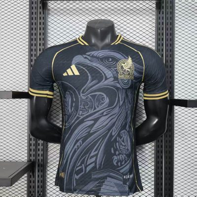Mexico Special Soccer Jersey 2025