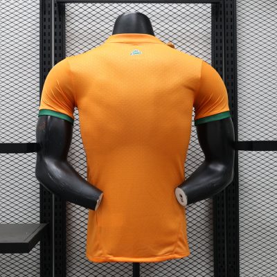 Alternative view of Ivory Coast Soccer Jersey Home Shirt 2024-25