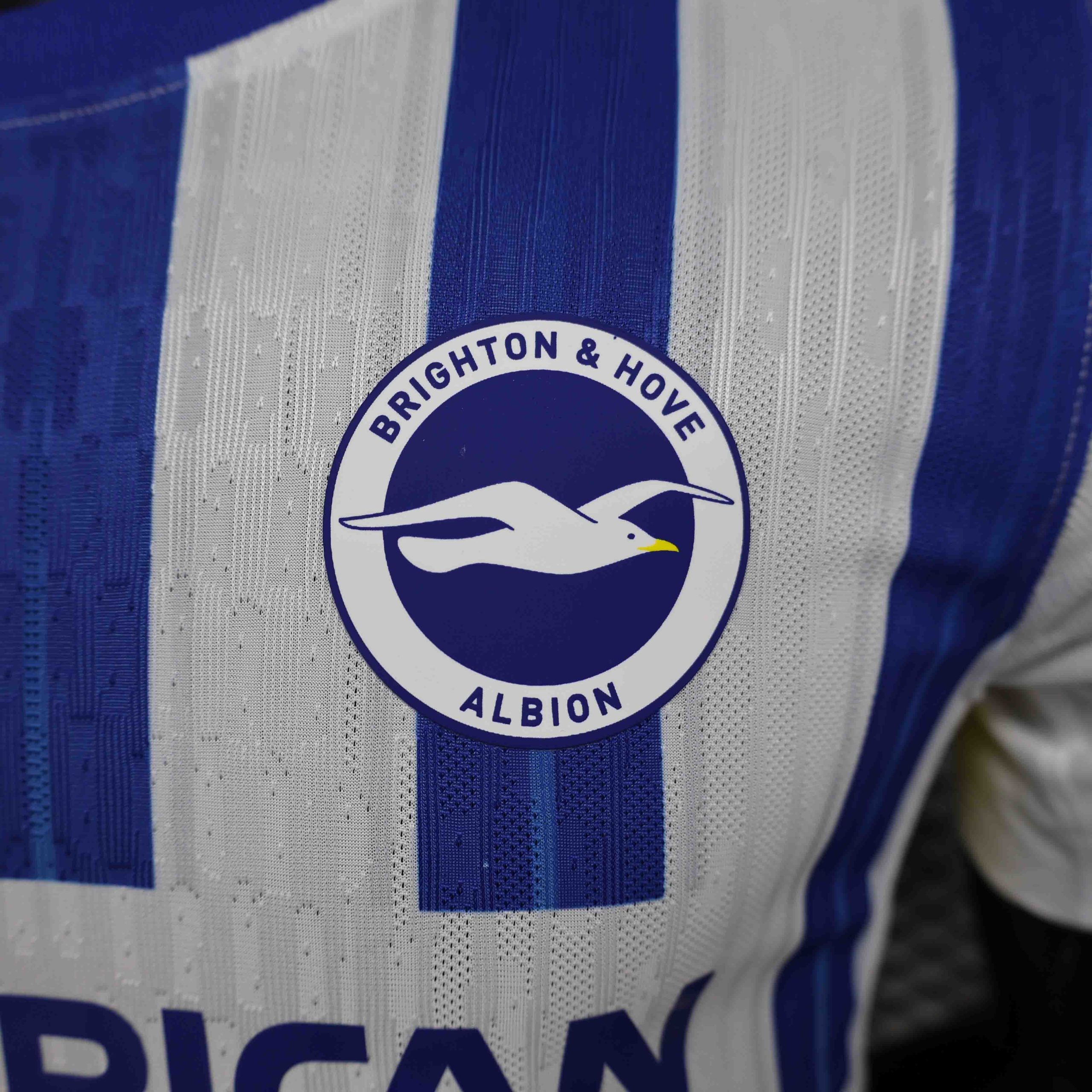 Brighton & Hove Albion Football Jersey Home Shirt 2024/25 - Image 4