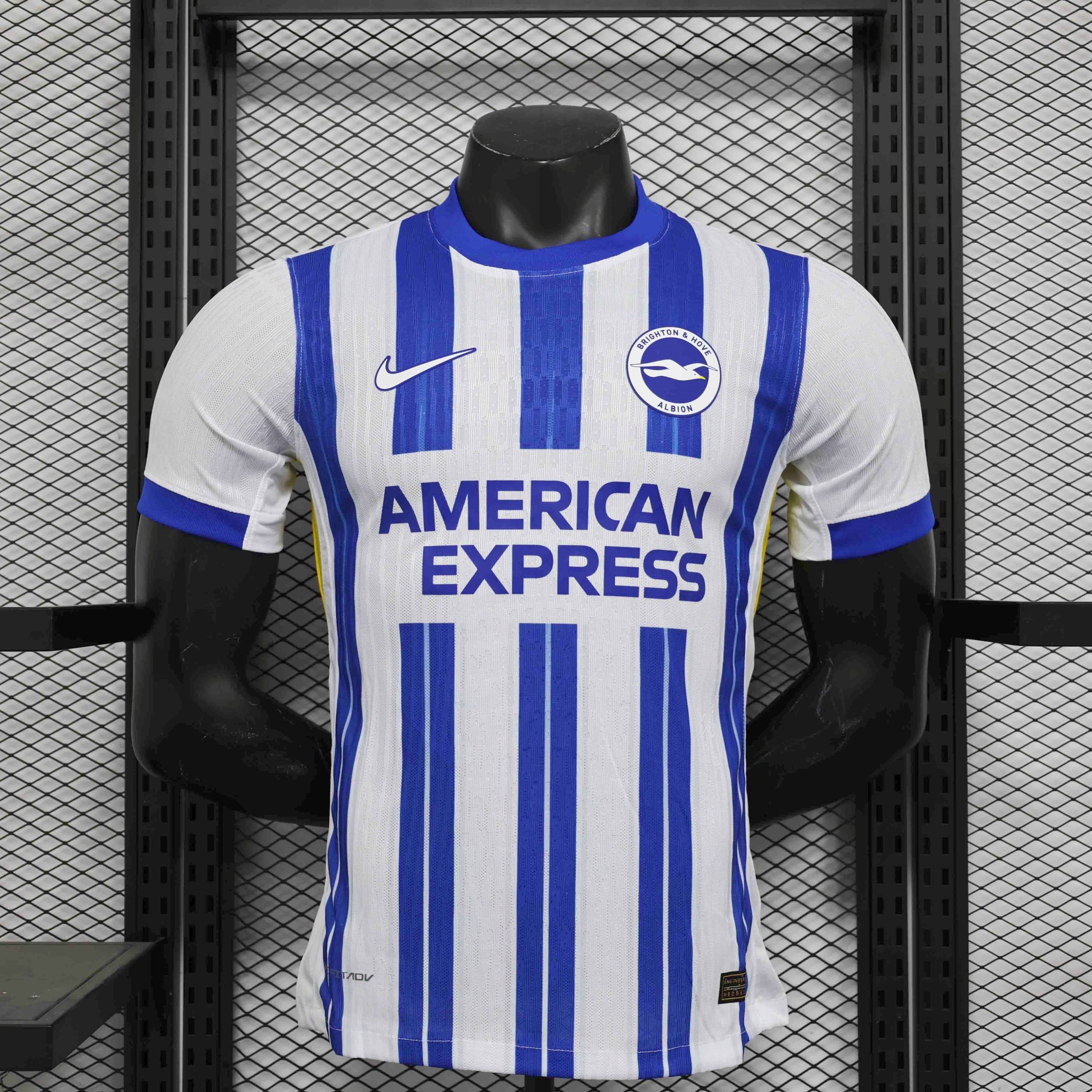 Brighton & Hove Albion Football Jersey Home Shirt 2024/25