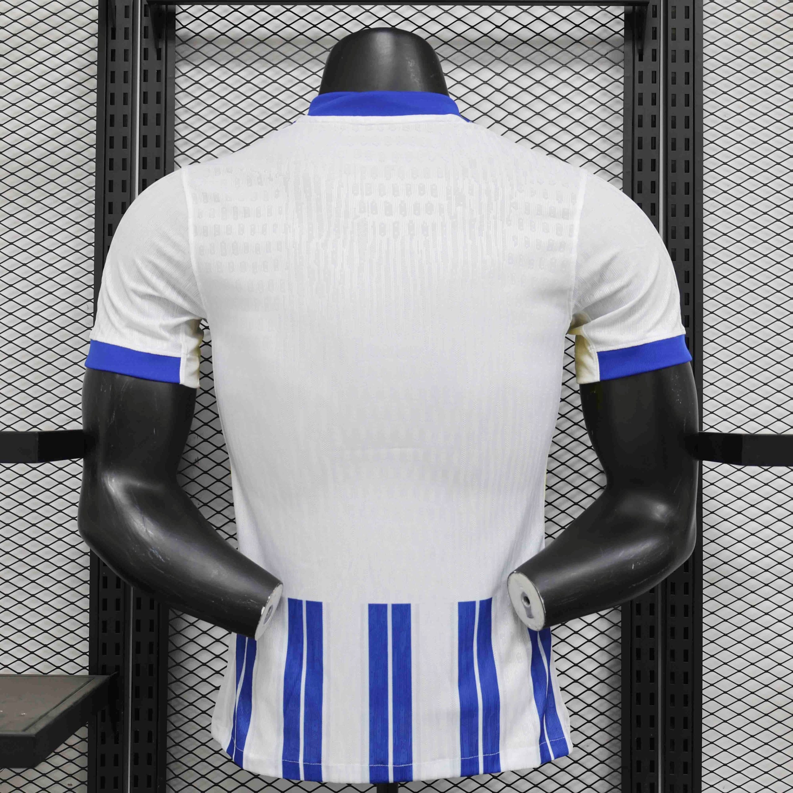 Brighton & Hove Albion Football Jersey Home Shirt 2024/25 - Image 2