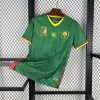 Cameroon Soccer Jersey Home Custom Shirt 2025