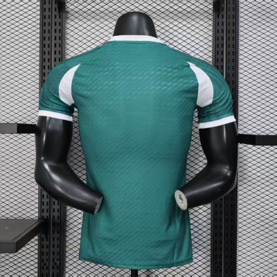 Alternative view of Mexico Special Soccer Jersey 2025