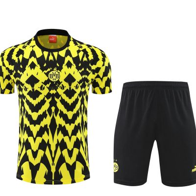 Borussia Dortmund Training Jersey Kit Yellow&Black 2025/26