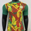 Senegal Soccer Jersey Training Shirt 2025