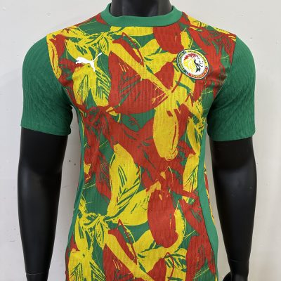 Senegal Soccer Jersey Training Shirt 2025
